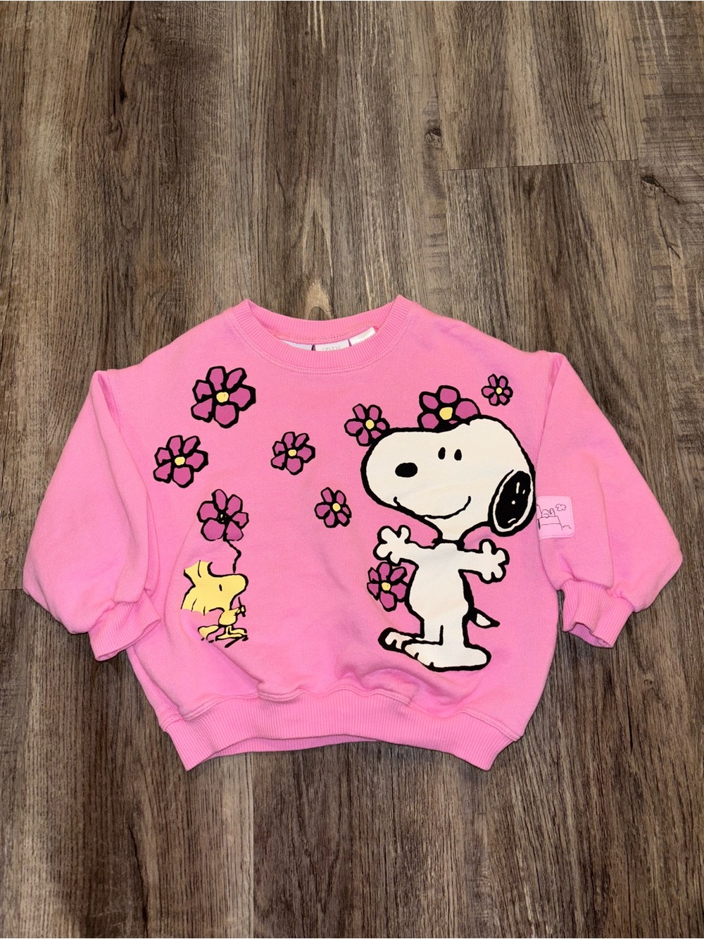 NEW W/Tags Toddler Girl Snoopy Sweatshirt